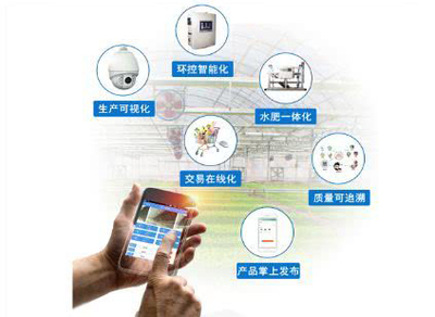 智能科技賦能 休閑農業(yè)中“體驗”產品的創(chuàng)新升級